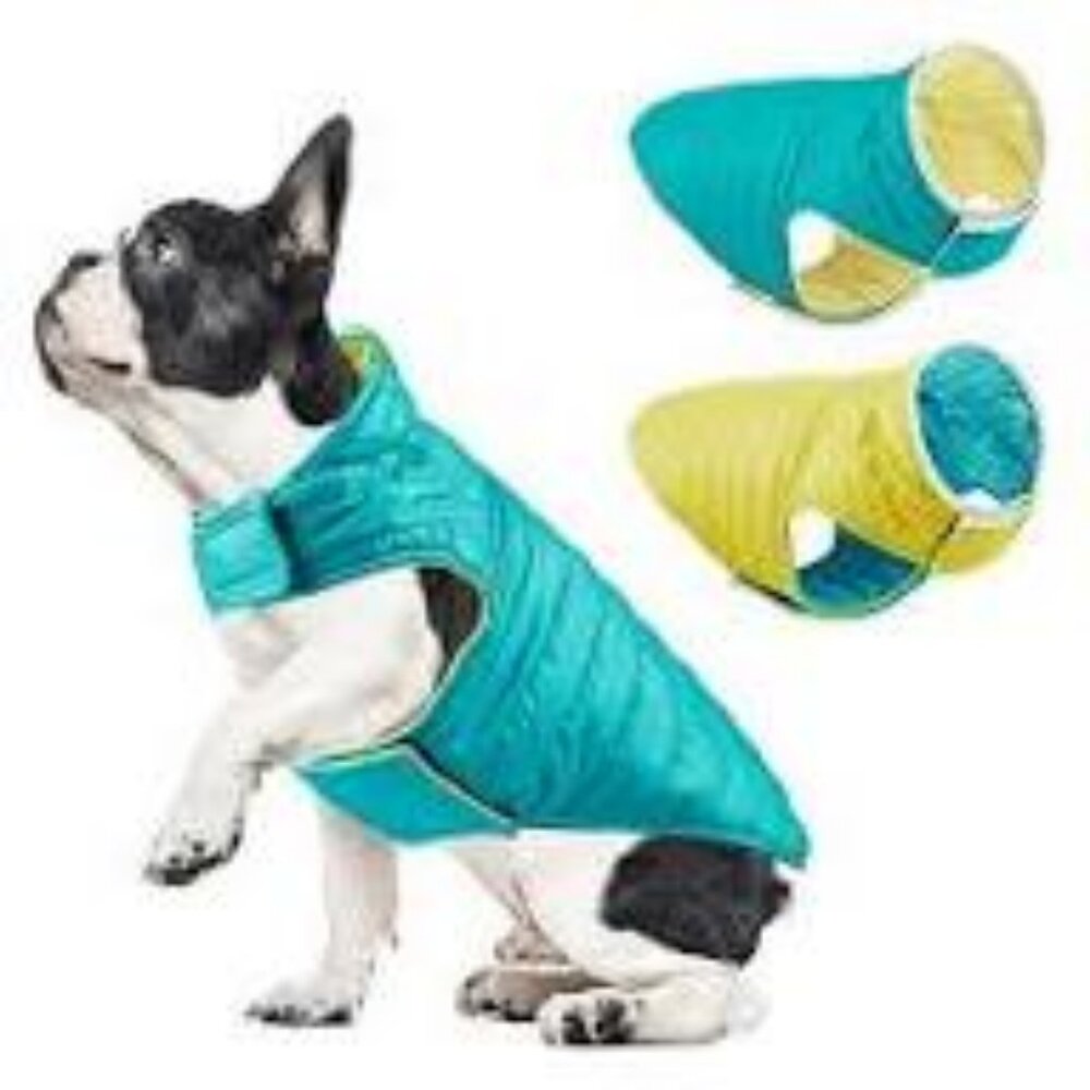 Reversible Blue and Red Dog Jacket